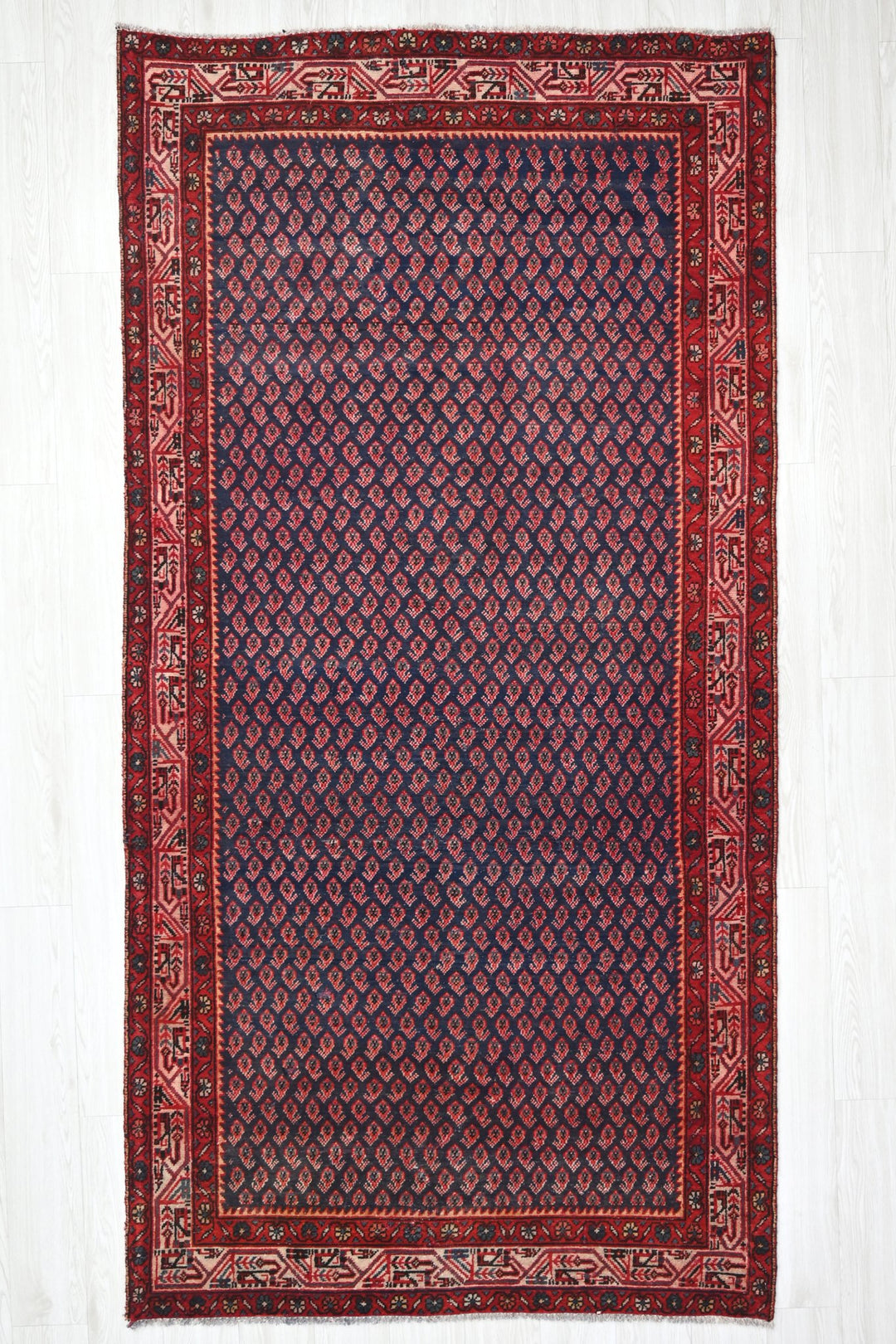 blue Medium rug 4' 4" x 9' 0"