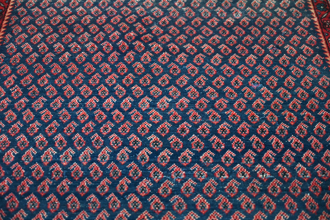 blue Medium rug 4' 4" x 9' 0"