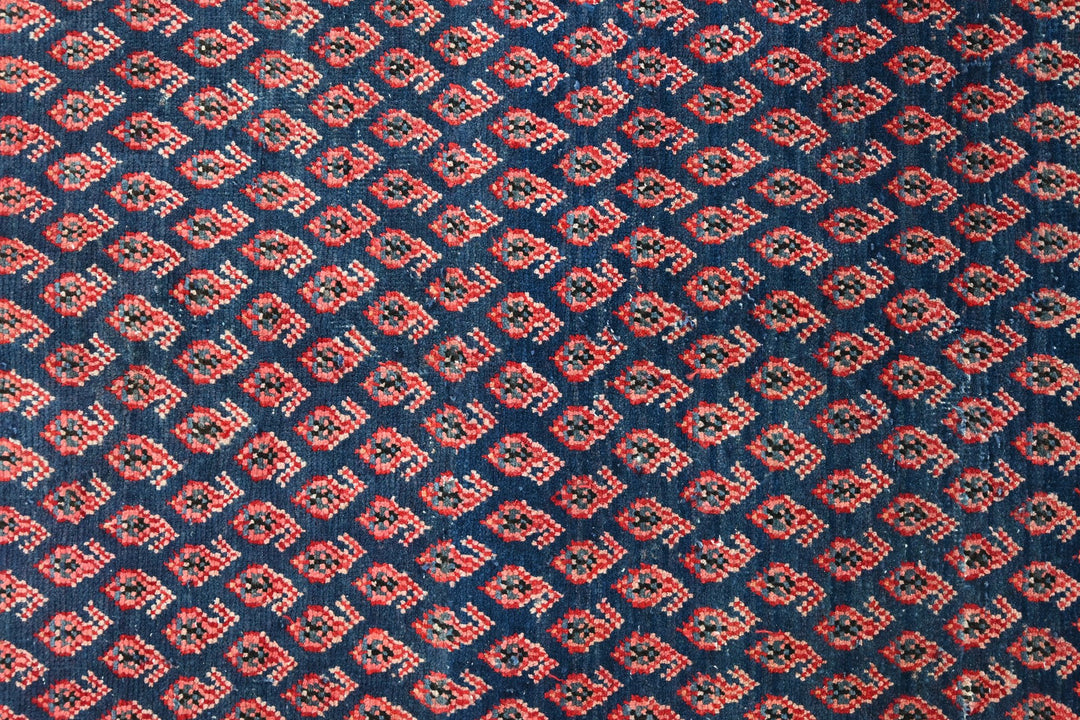 blue Medium rug 4' 4" x 9' 0"