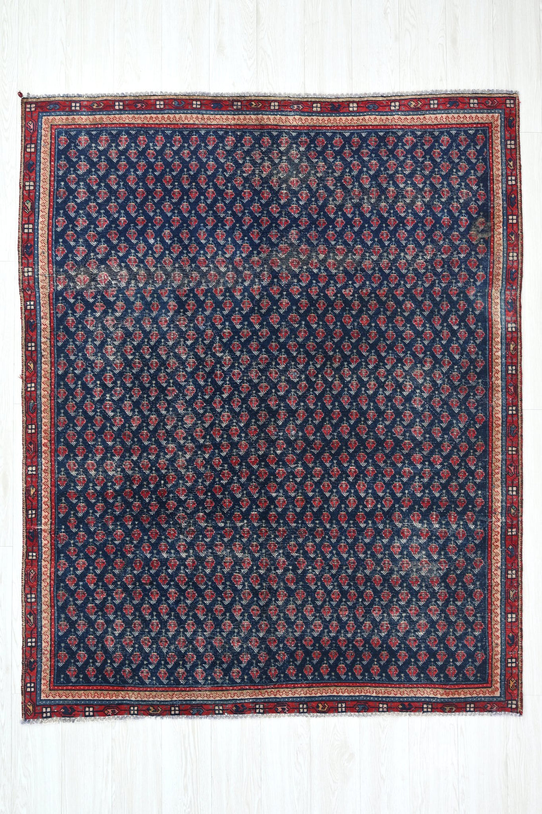blue Medium rug 5' 2" x 6' 6"