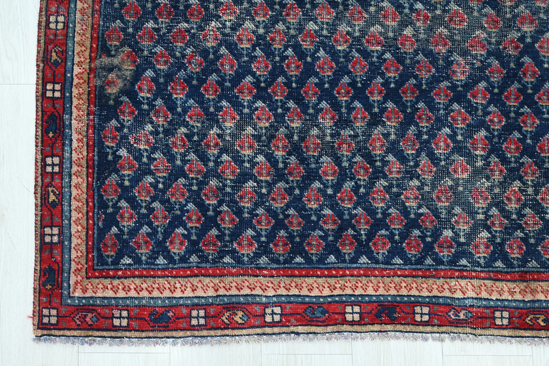 blue Medium rug 5' 2" x 6' 6"