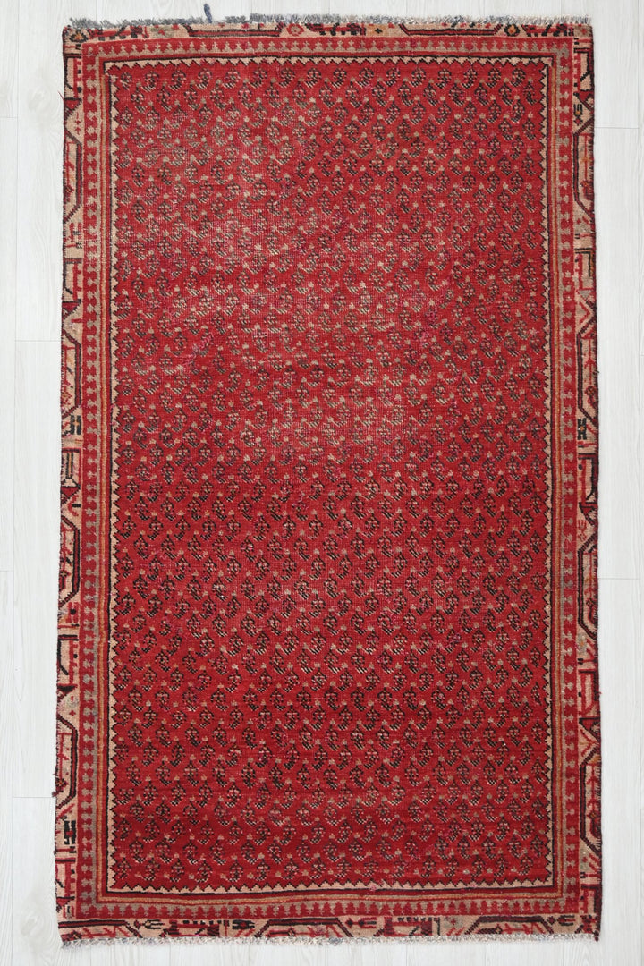 red Accent rug 3' 5" x 6' 0"