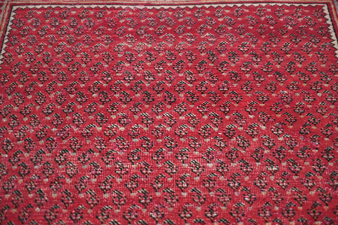 red Accent rug 3' 5" x 6' 0"