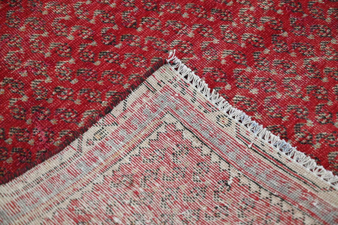 red Accent rug 3' 5" x 6' 0"