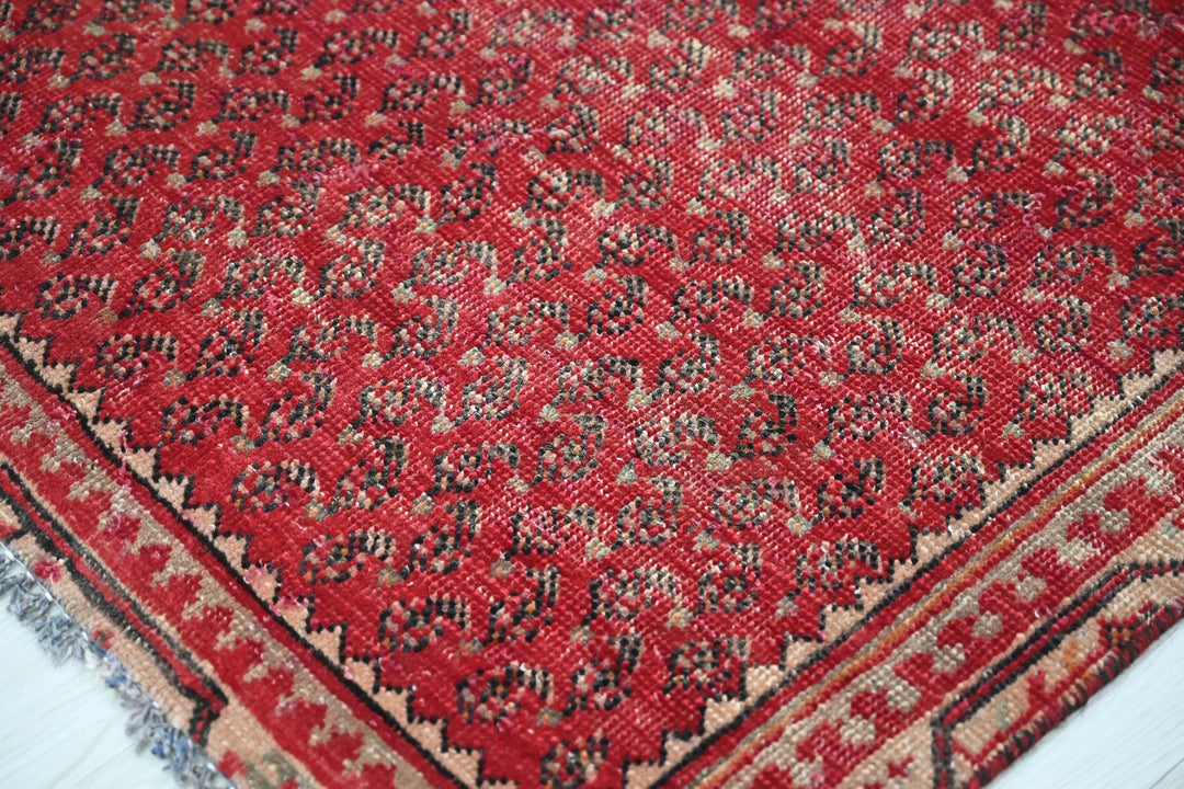 red Accent rug 3' 5" x 6' 0"