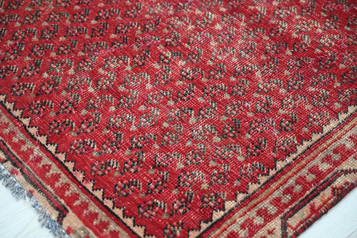 red Accent rug 3' 5" x 6' 0"