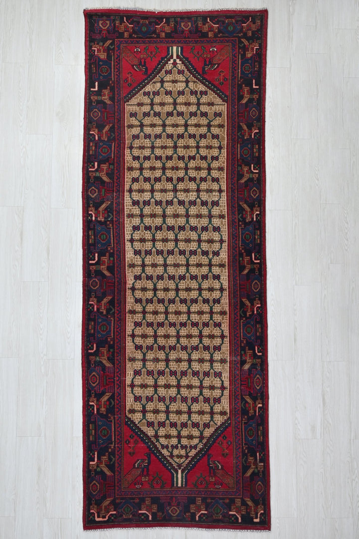 brown Runner rug 3' 4" x 10' 4"