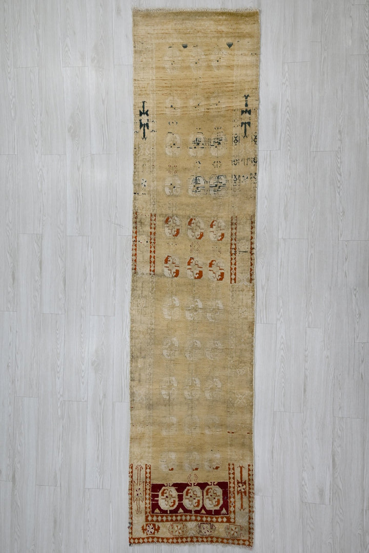 brown Runner rug 2' 4" x 9' 3"