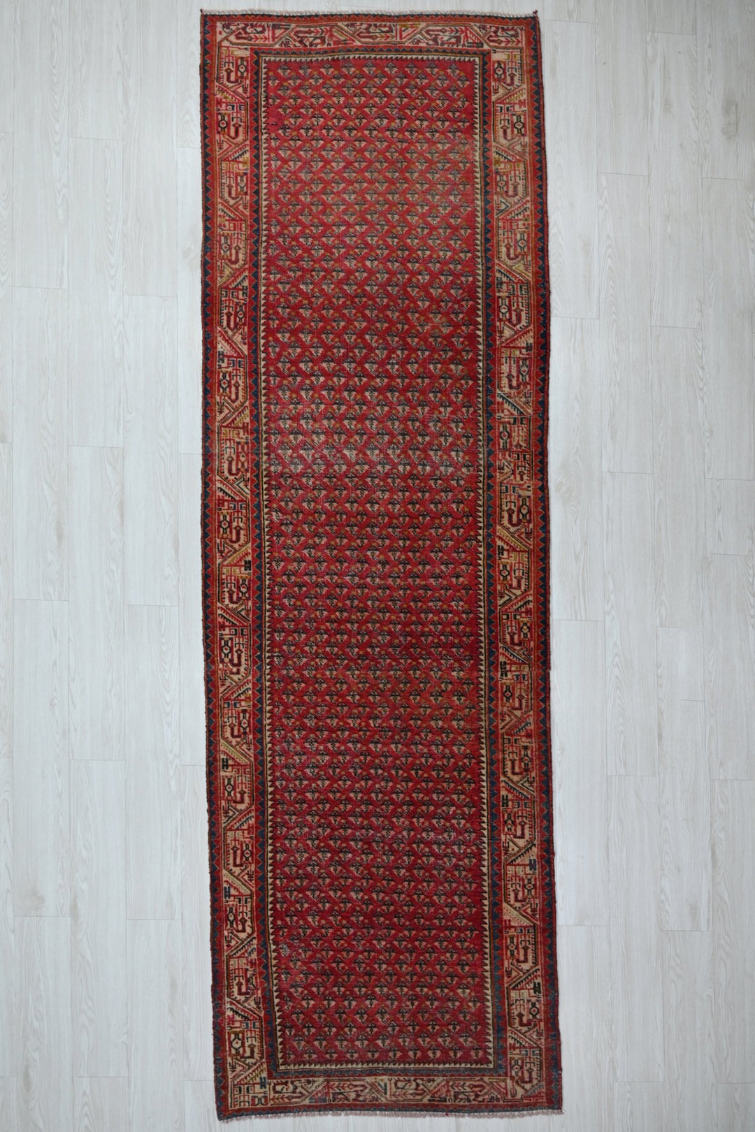 red Runner rug 3' 3" x 10' 8"
