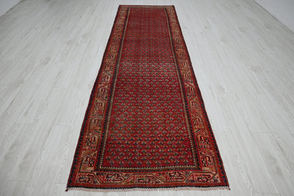 red Runner rug 3' 3" x 10' 8"