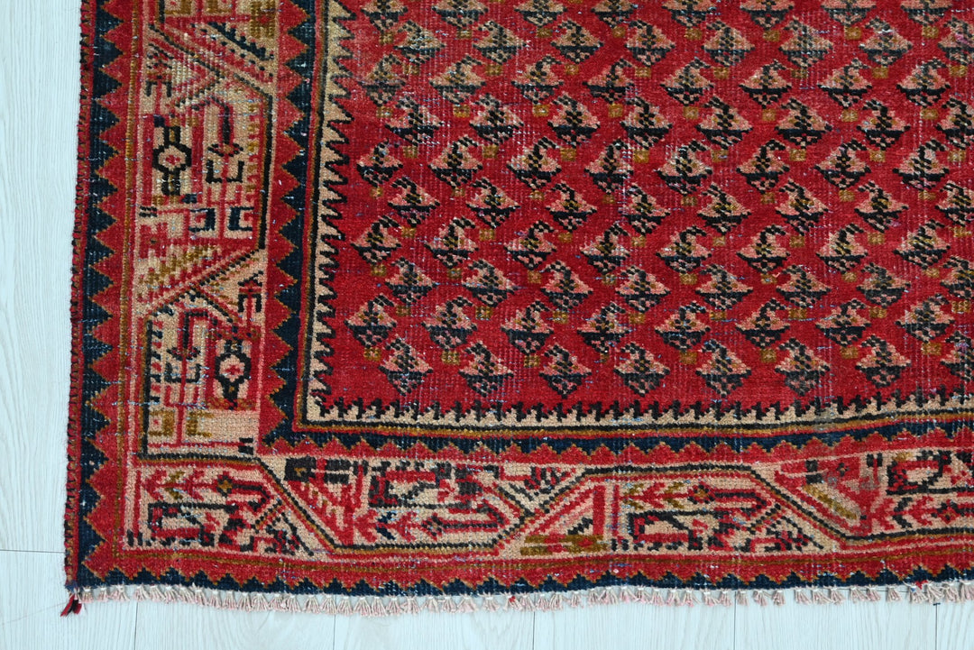 red Runner rug 3' 3" x 10' 8"