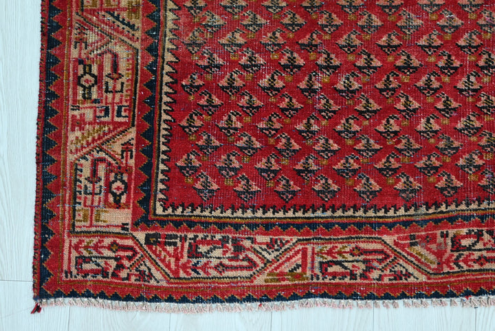 red Runner rug 3' 3" x 10' 8"