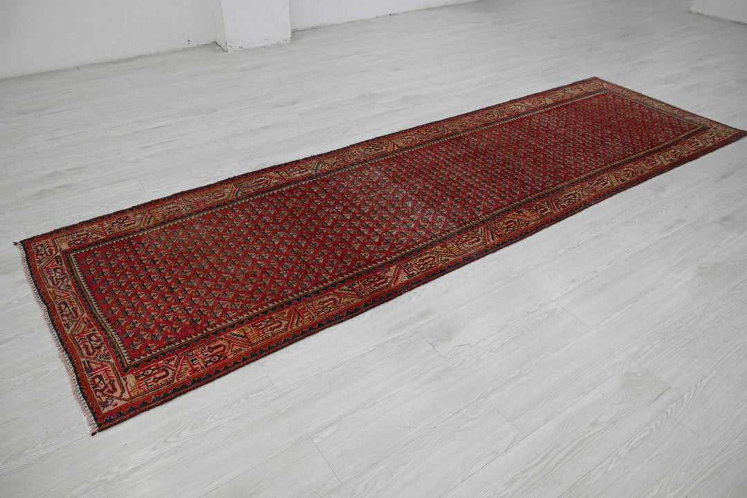 red Runner rug 3' 3" x 10' 8"