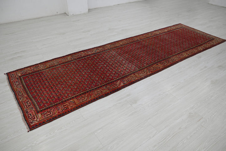 red Runner rug 3' 3" x 10' 8"