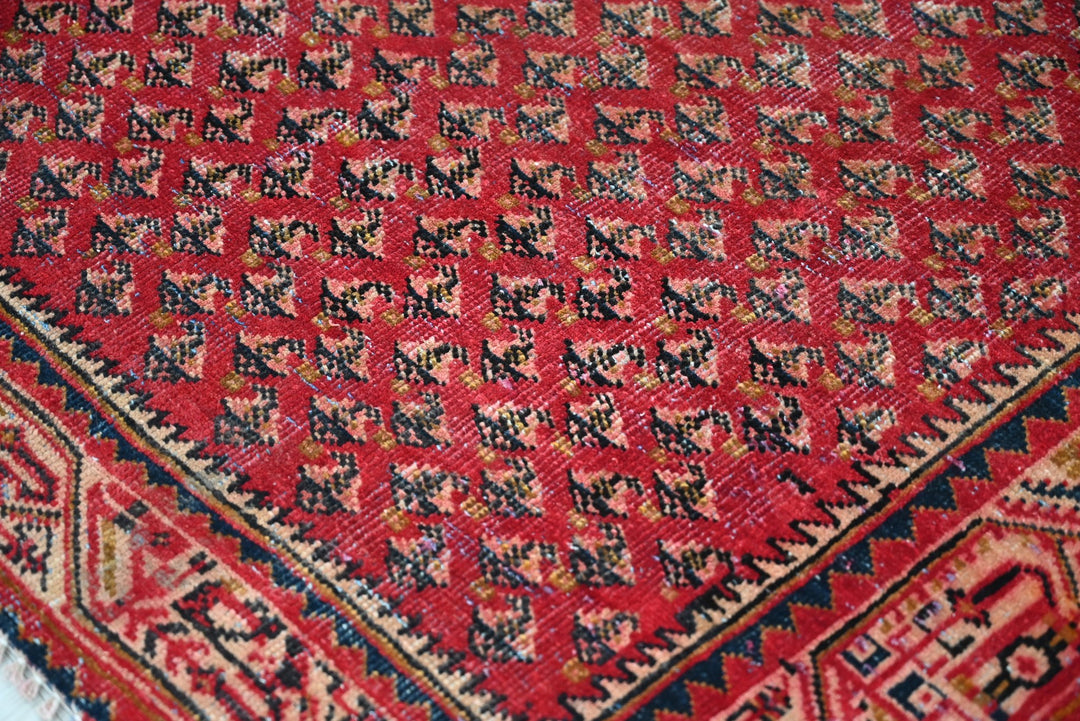 red Runner rug 3' 3" x 10' 8"