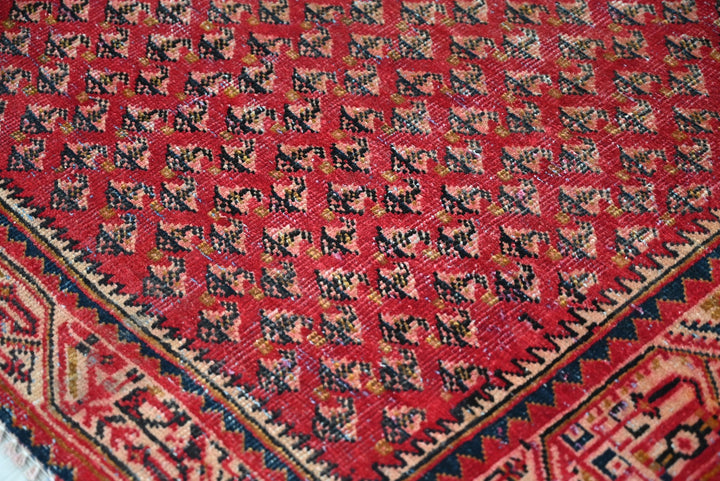 red Runner rug 3' 3" x 10' 8"