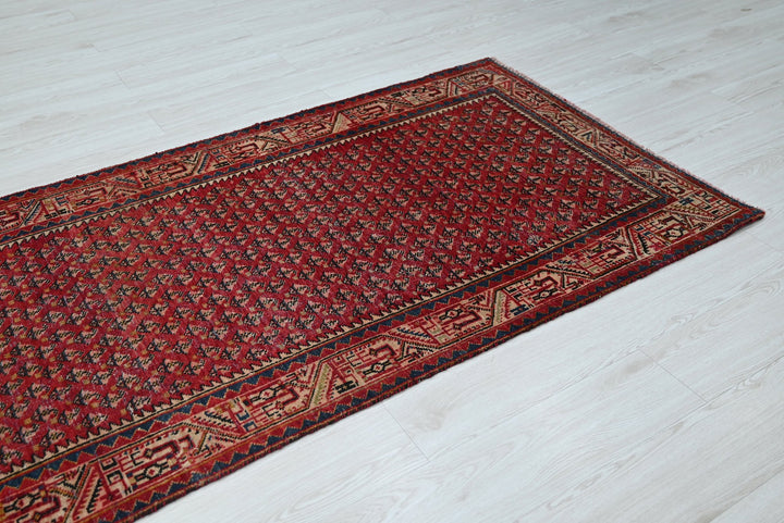 red Runner rug 3' 3" x 10' 8"