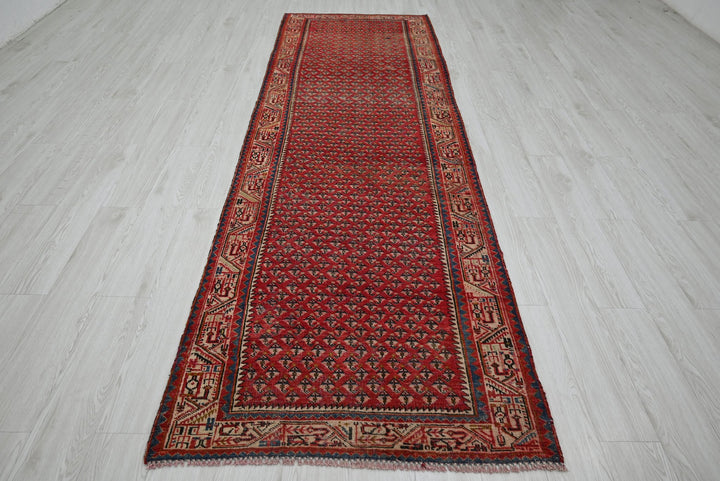 red Runner rug 3' 3" x 10' 8"