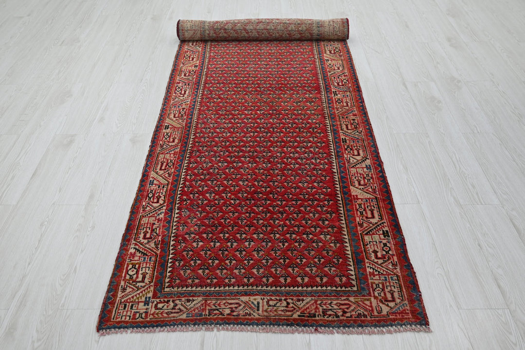 red Runner rug 3' 3" x 10' 8"