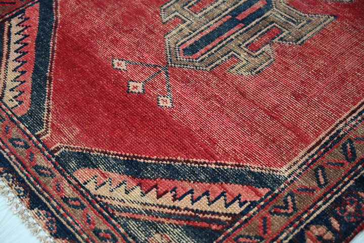 red Runner rug 2' 10" x 8' 10"