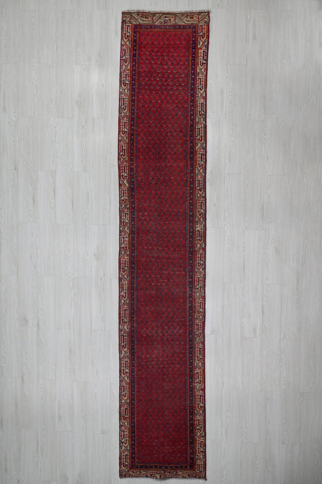 red Runner rug 2' 4" x 13' 0"