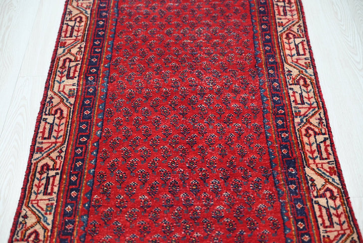 red Runner rug 2' 4" x 13' 0"