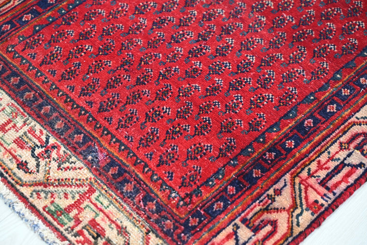 red Runner rug 2' 4" x 13' 0"