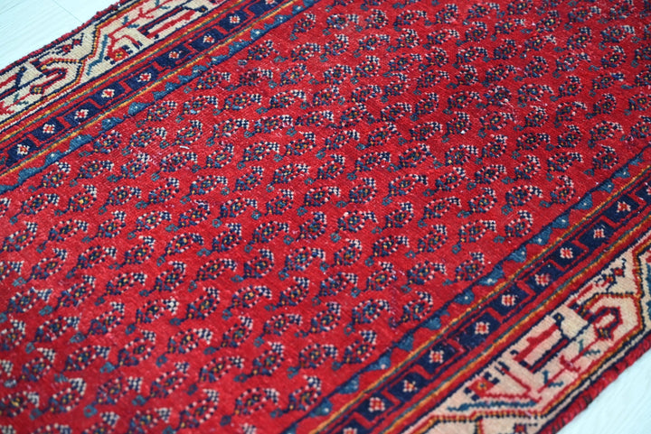 red Runner rug 2' 4" x 13' 0"