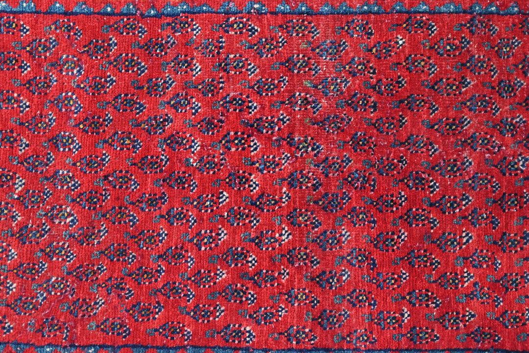 red Runner rug 2' 4" x 13' 0"