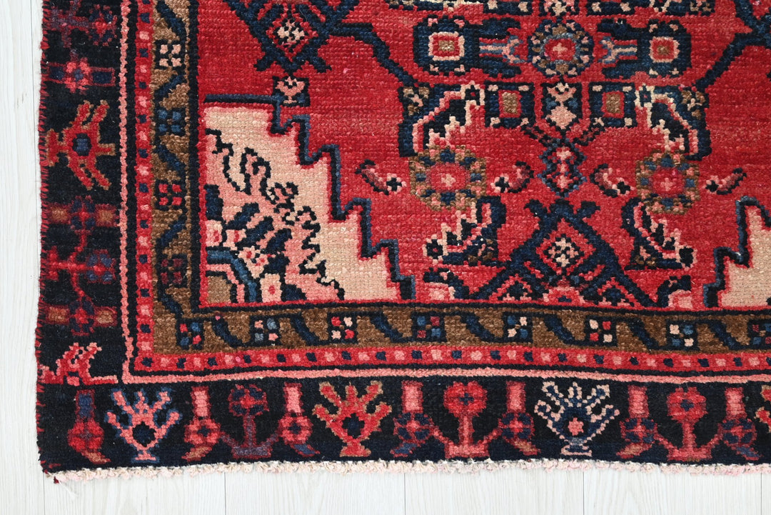 red Runner rug 2' 10" x 9' 9"