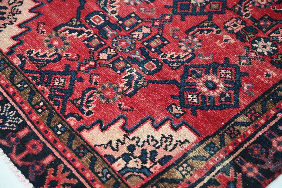 red Runner rug 2' 10" x 9' 9"