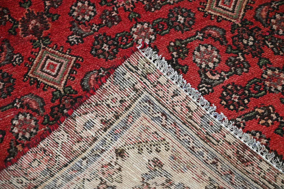 red Runner rug 3' 2" x 9' 0"