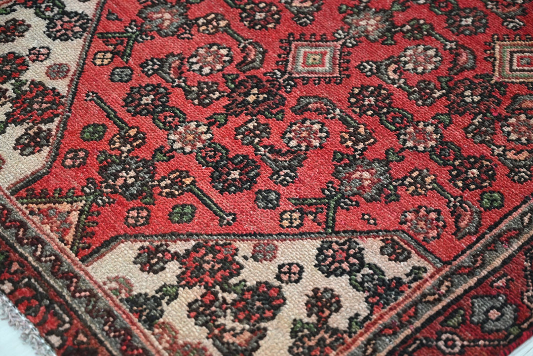 red Runner rug 3' 2" x 9' 0"