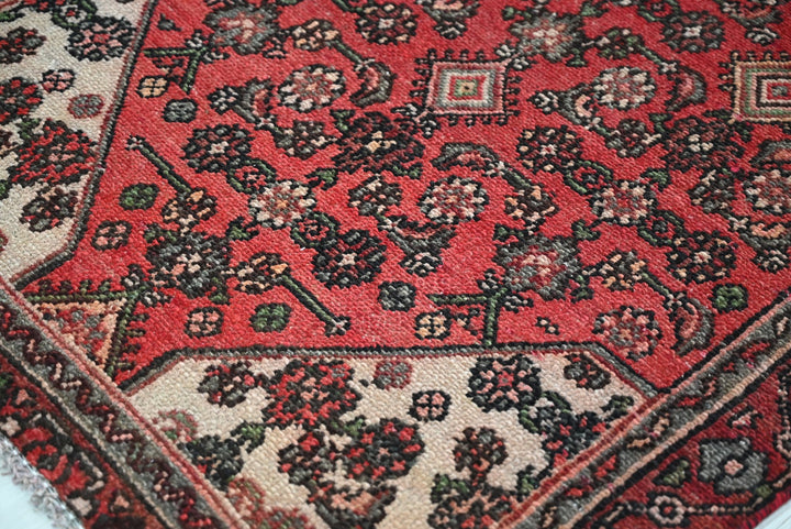 red Runner rug 3' 2" x 9' 0"