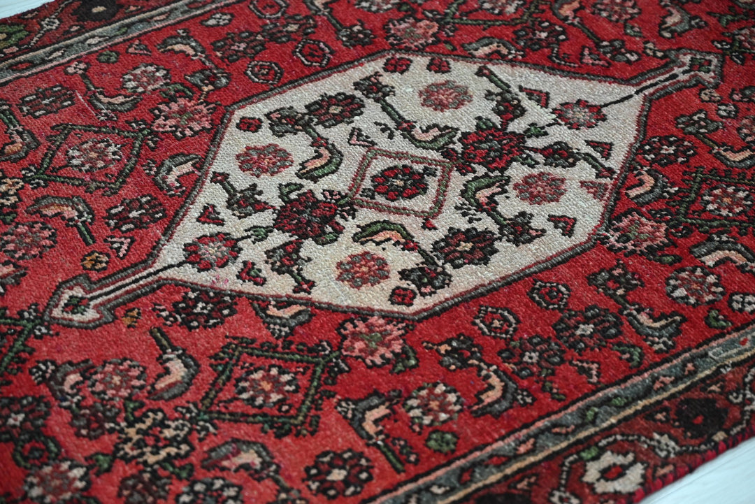 red Runner rug 3' 2" x 9' 0"