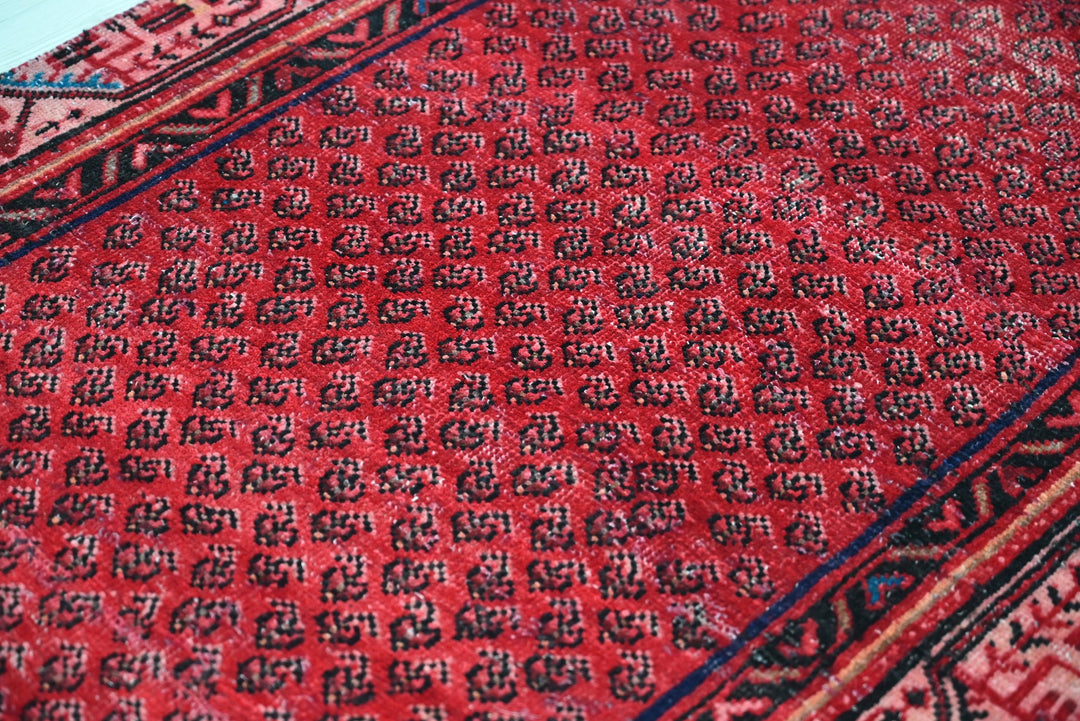 red Runner rug 3' 0" x 13' 6"