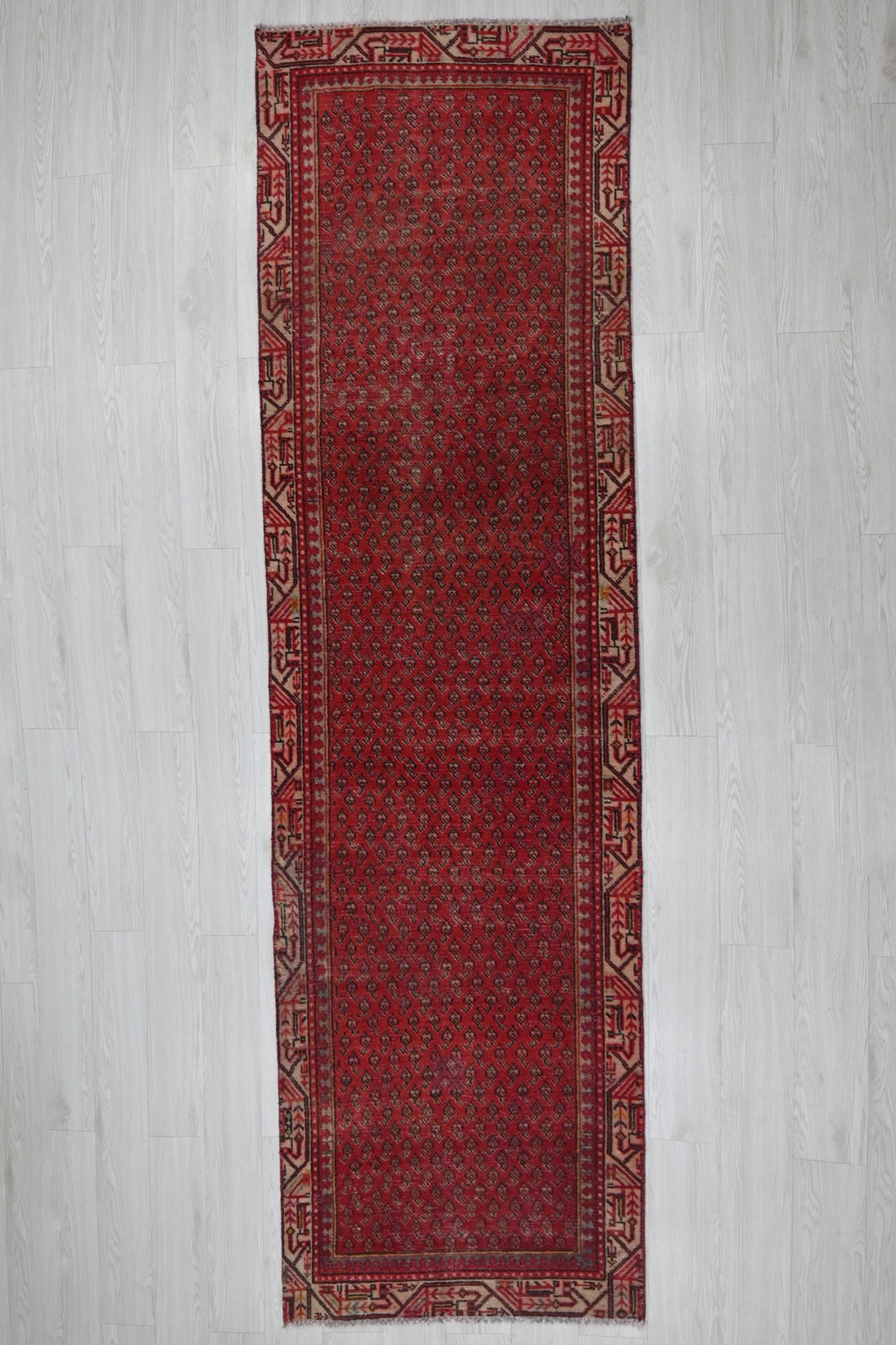 red Runner rug 2' 10" x 9' 10"