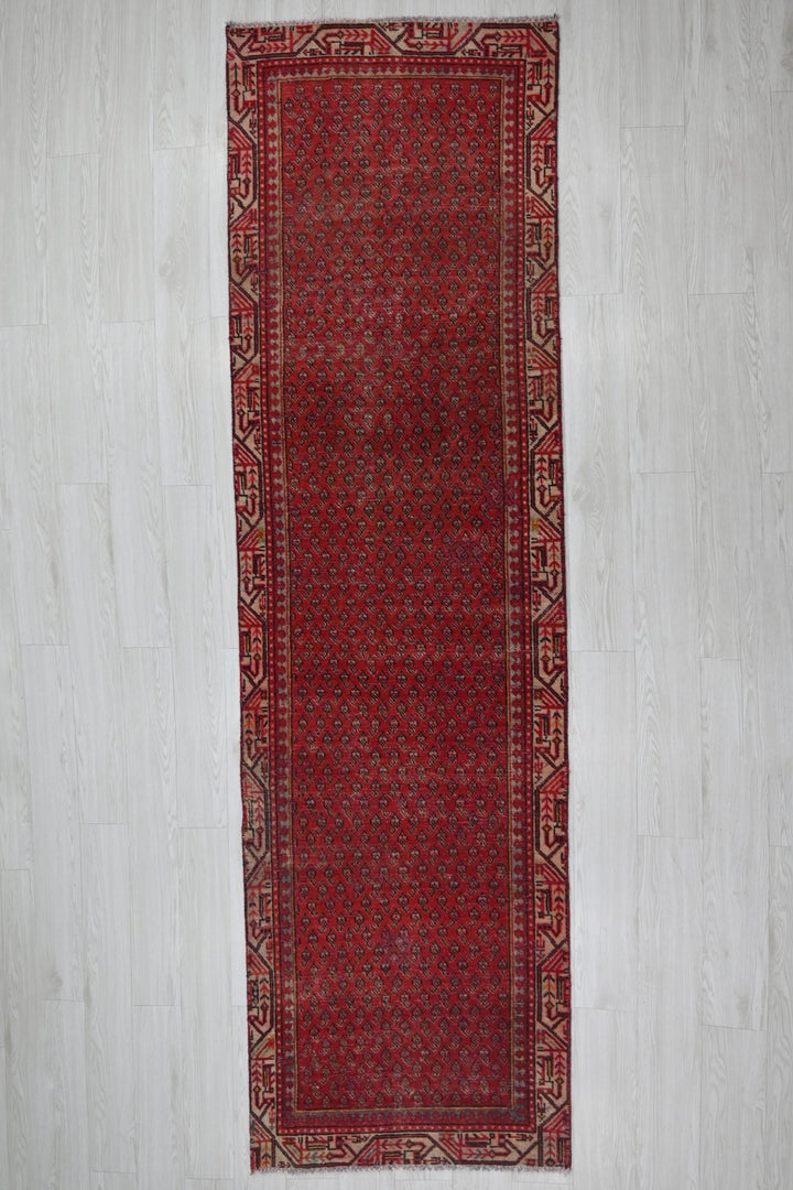 red Runner rug 2' 10" x 9' 10"
