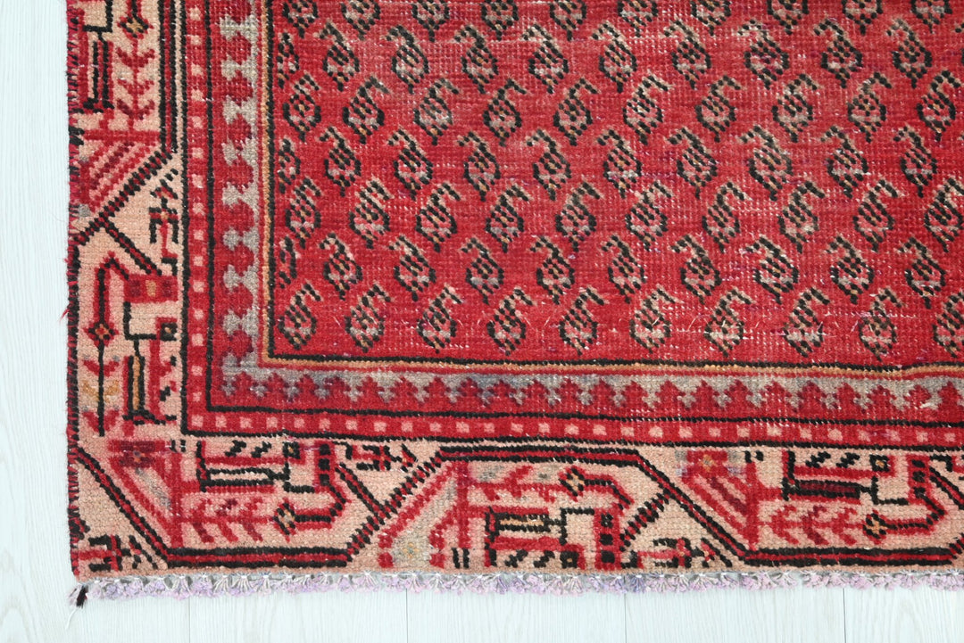red Runner rug 2' 10" x 9' 10"