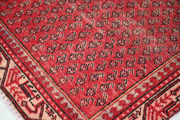 red Runner rug 2' 10" x 9' 10"