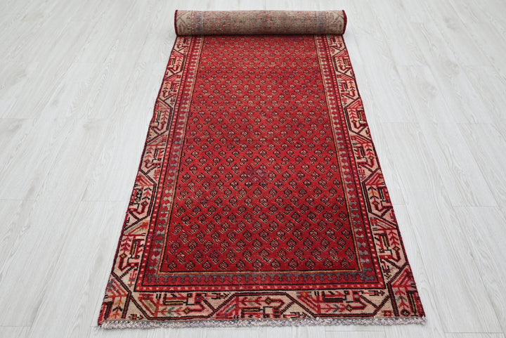 red Runner rug 2' 10" x 9' 10"