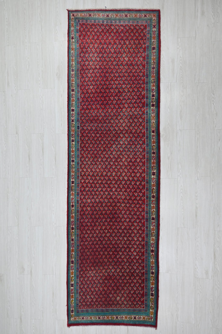 red Runner rug 3' 1" x 10' 1"