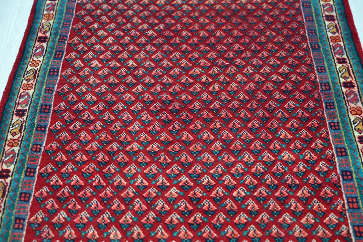 red Runner rug 3' 1" x 10' 1"