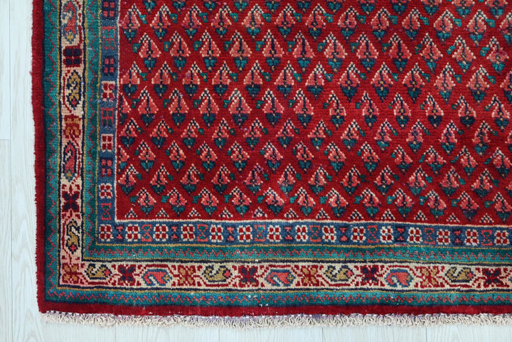 red Runner rug 3' 1" x 10' 1"