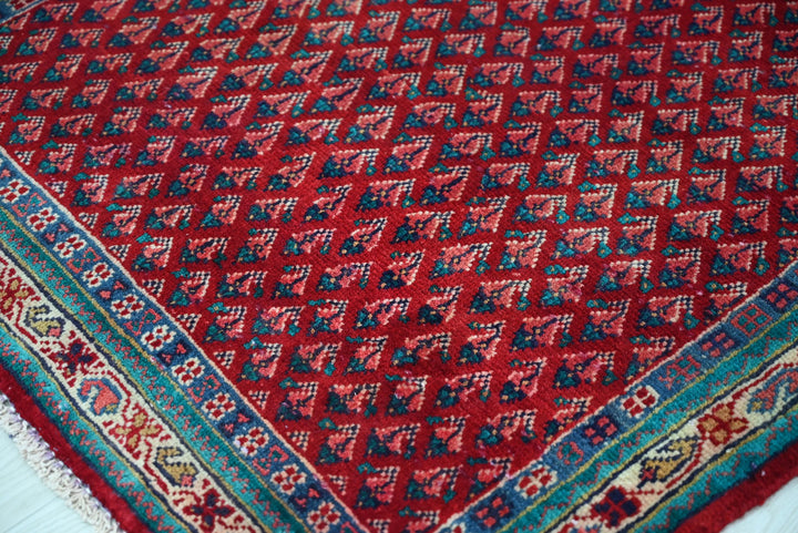 red Runner rug 3' 1" x 10' 1"