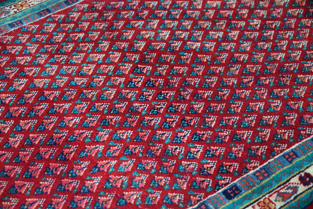 red Runner rug 3' 1" x 10' 1"