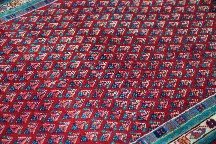 red Runner rug 3' 1" x 10' 1"