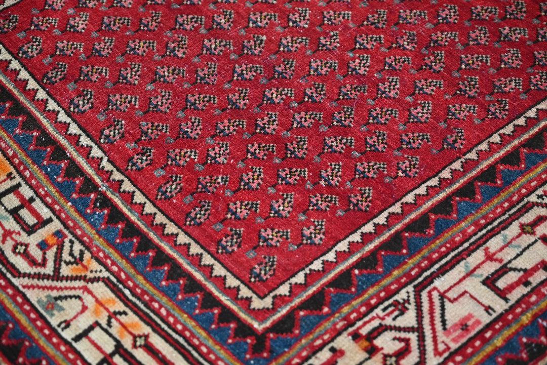 red Runner rug 3' 7" x 9' 10"