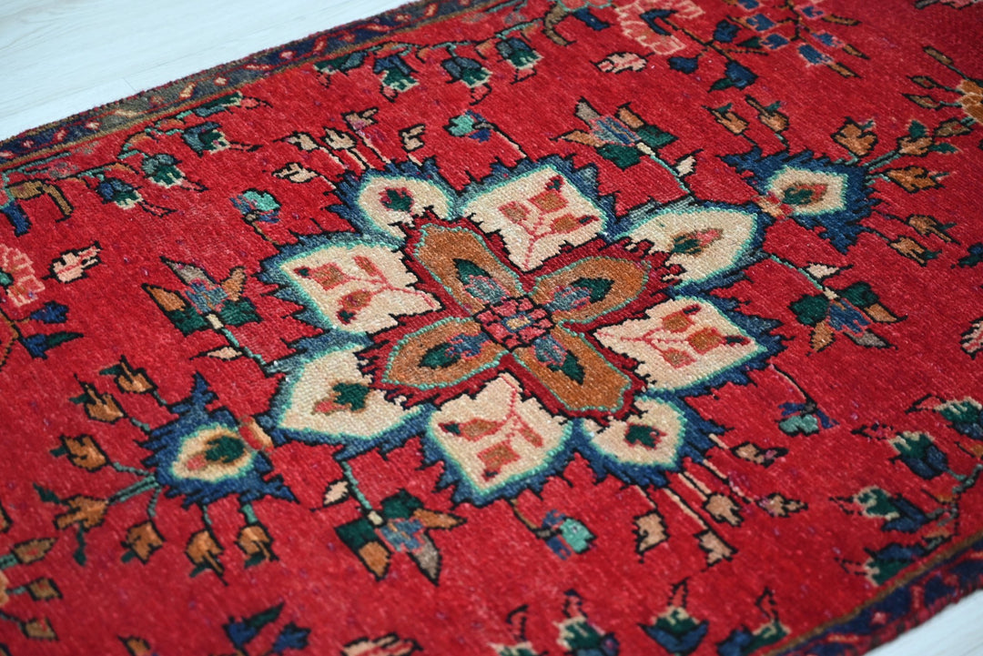 red Runner rug 2' 9" x 9' 10"