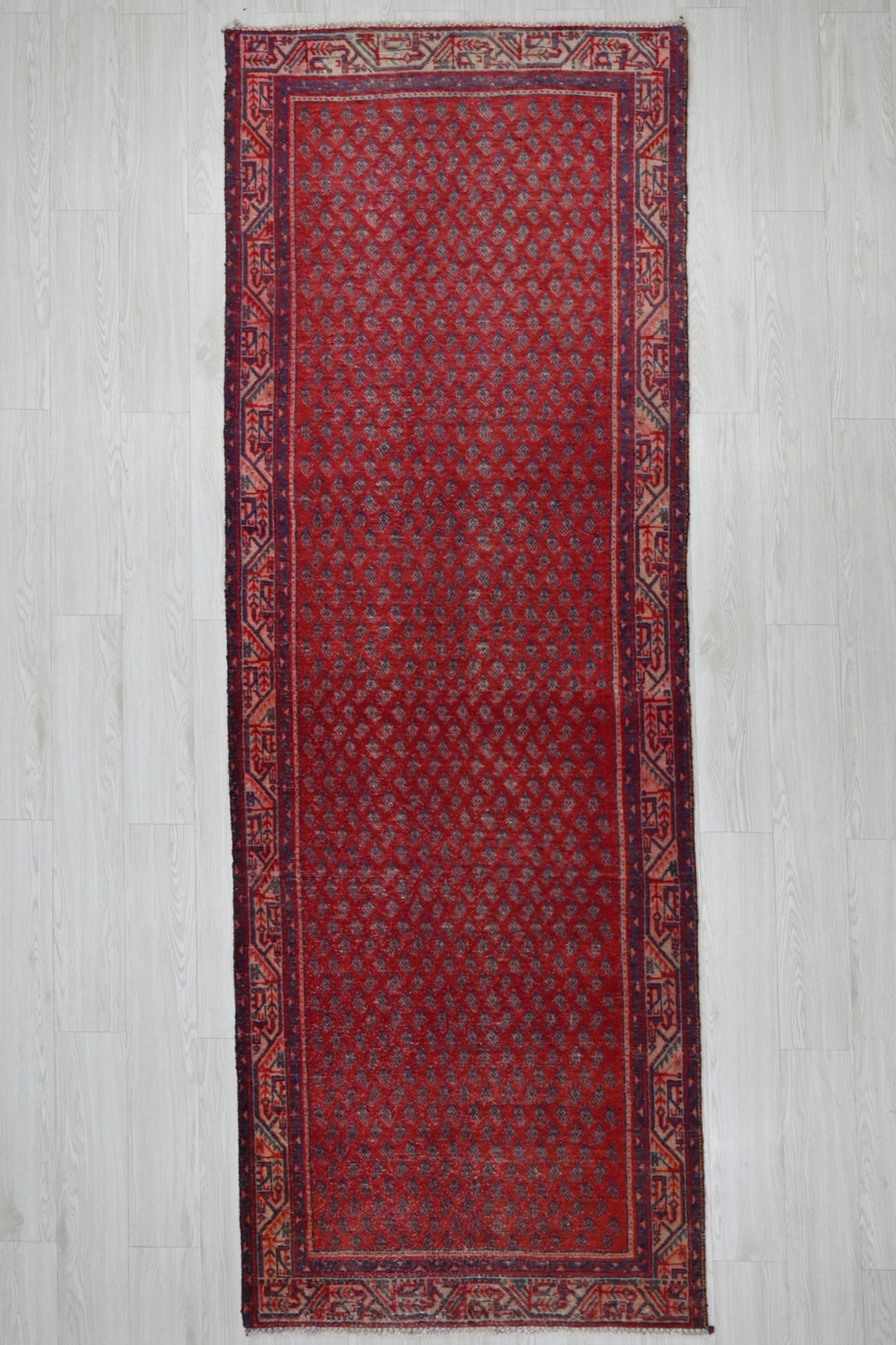 red Runner rug 3' 3" x 9' 4"